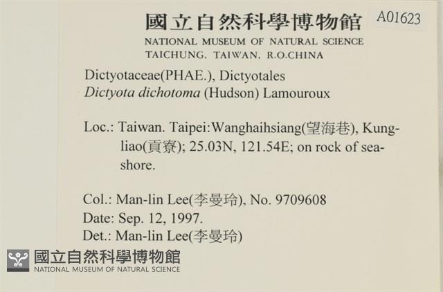 網目藻藏品圖，第2張