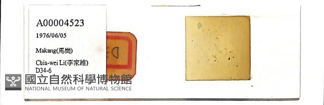 登錄號:A00004523藏品圖，第1張