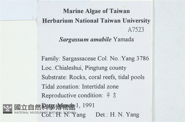 Accession Number:A00007523 Collection Image, Figure 2, Total 2 Figures
