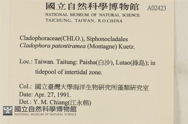 登錄號:A00002423藏品圖，第2張