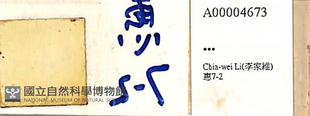 登錄號:A00004673藏品圖，第1張