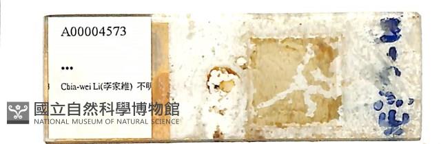 登錄號:A00004573藏品圖，第1張