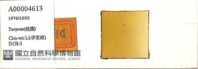 登錄號:A00004613藏品圖，第1張