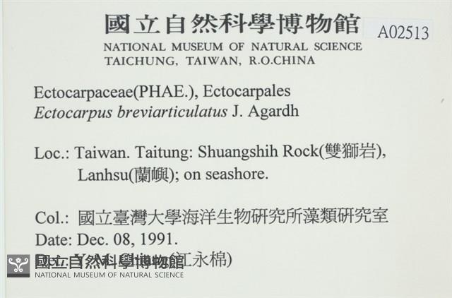 登錄號:A00002513藏品圖，第2張