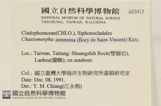 登錄號:A00003413藏品圖，第2張