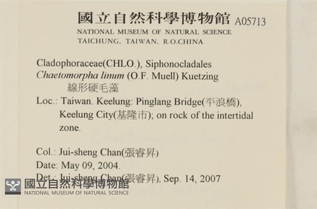 登錄號:A00005713藏品圖，第2張
