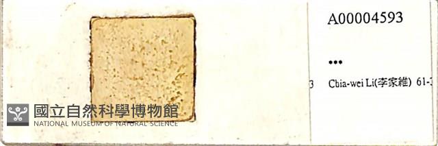 登錄號:A00004593藏品圖，第1張