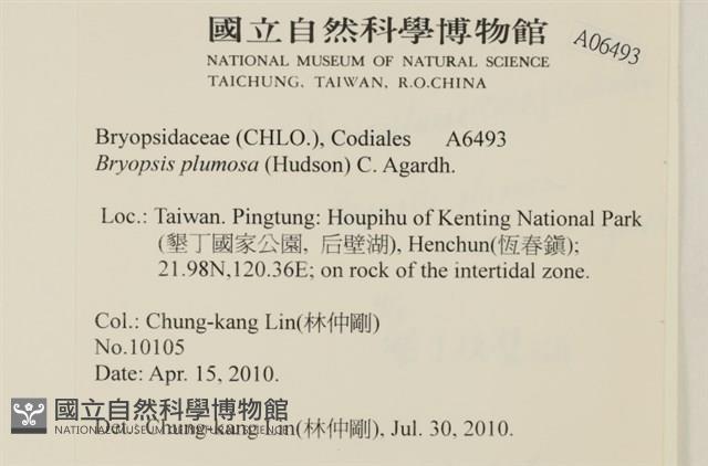 登錄號:A00006493藏品圖，第2張