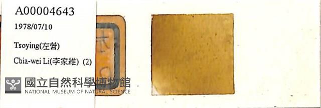 登錄號:A00004643藏品圖，第1張