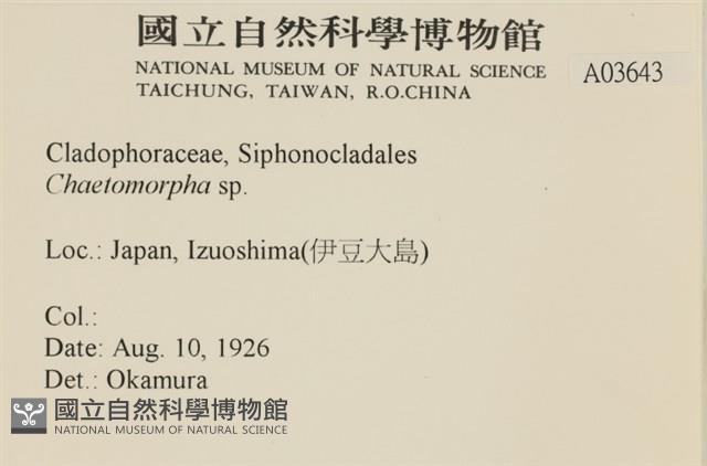 登錄號:A00003643藏品圖，第2張