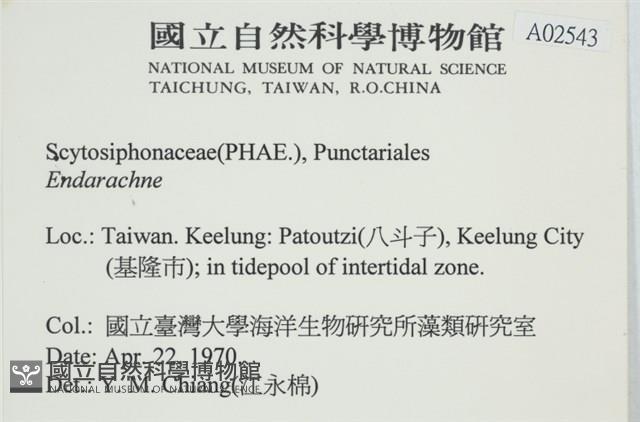 登錄號:A00002543藏品圖，第2張