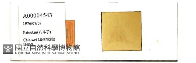 登錄號:A00004543藏品圖，第1張