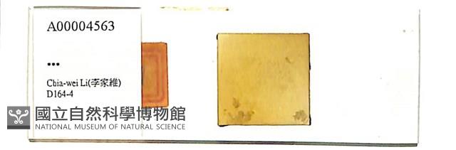 登錄號:A00004563藏品圖，第1張