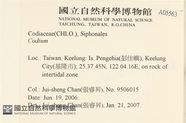 登錄號:A00005563藏品圖，第2張