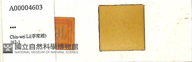 登錄號:A00004603藏品圖，第1張