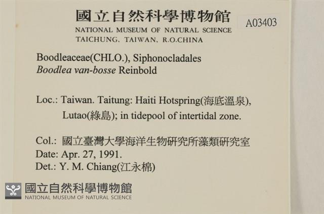 登錄號:A00003403藏品圖，第2張