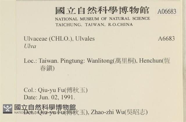 登錄號:A00006683藏品圖，第2張
