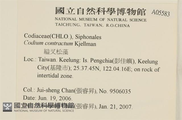 登錄號:A00005583藏品圖，第2張