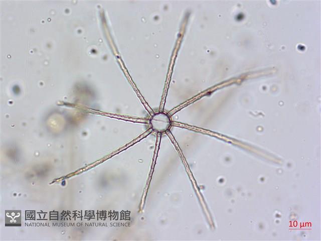 登錄號:A00004657藏品圖，第13張