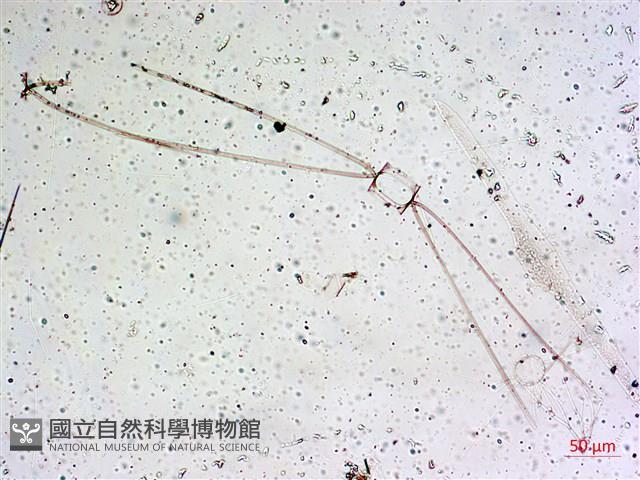 館號:A00004642藏品圖，第44張