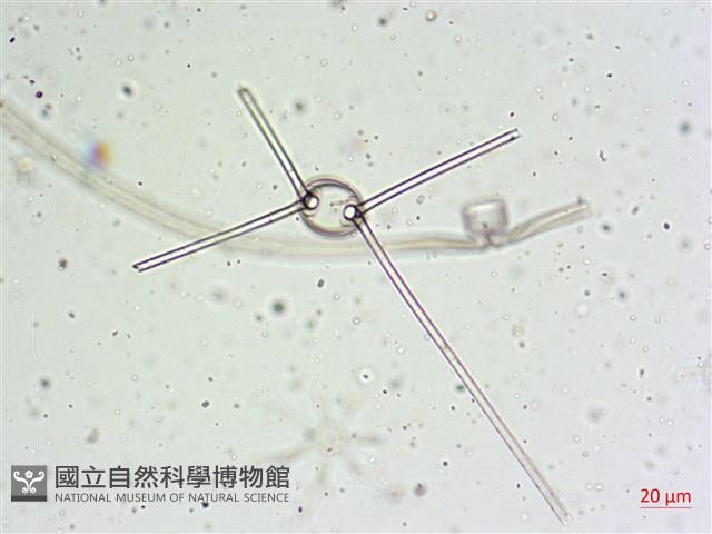 登錄號:A00004654藏品圖，第11張