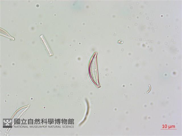 登錄號:A00004675藏品圖，第11張