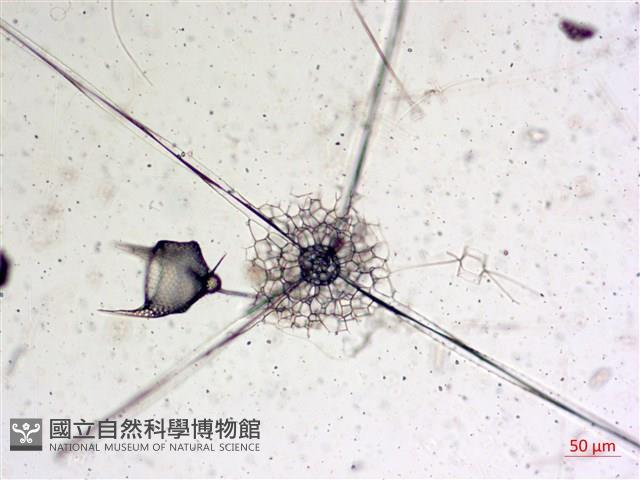 登錄號:A00004655藏品圖，第20張
