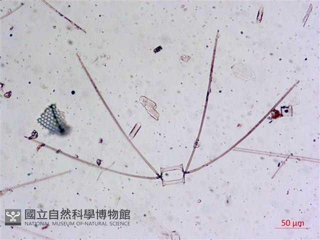 登錄號:A00004656藏品圖，第26張