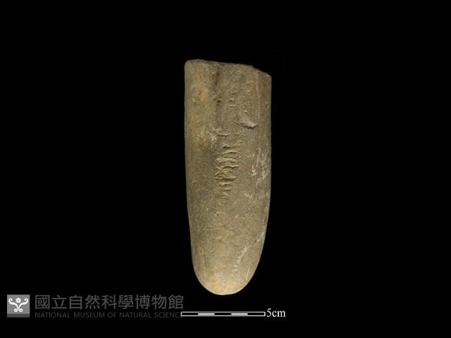 石鎚藏品圖，第4張