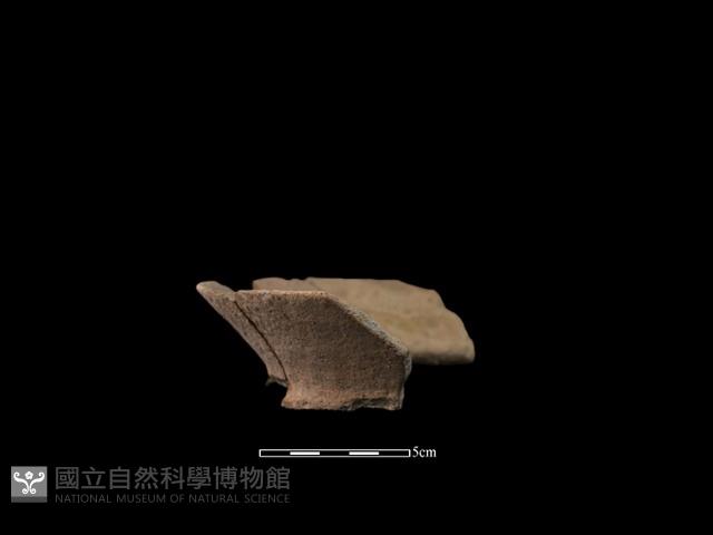 陶罐藏品圖，第4張