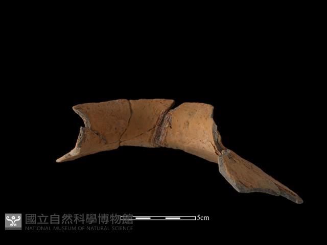 陶罐藏品圖，第4張