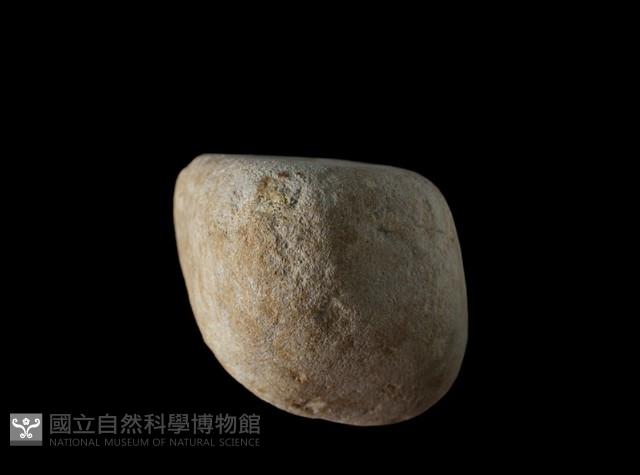 Accession Number:AHR336-2017-007 Collection Image, Figure 4, Total 4 Figures