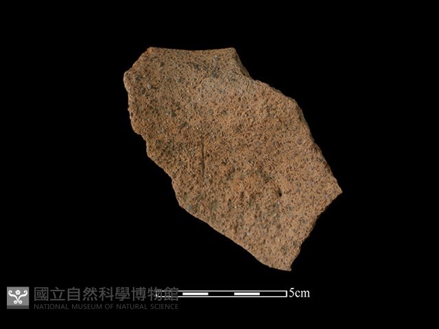 陶罐藏品圖，第4張