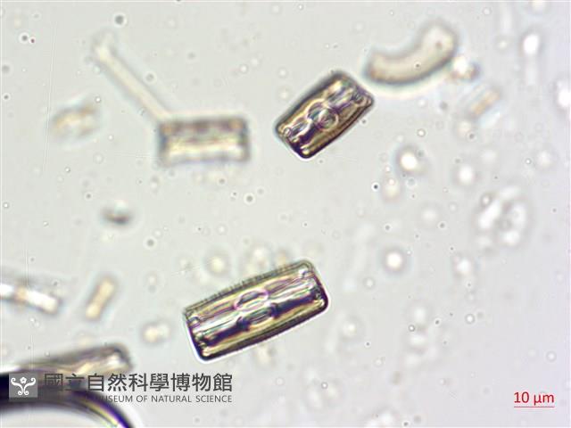 登錄號:A00004632藏品圖，第6張