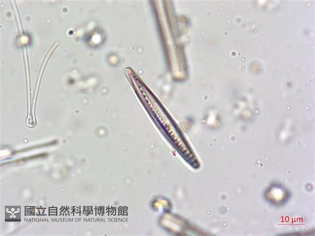 登錄號:A00004622藏品圖，第6張