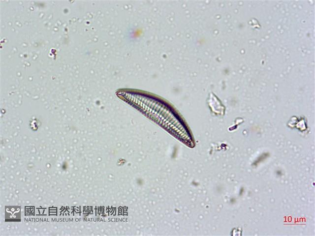 登錄號:A00004672藏品圖，第6張