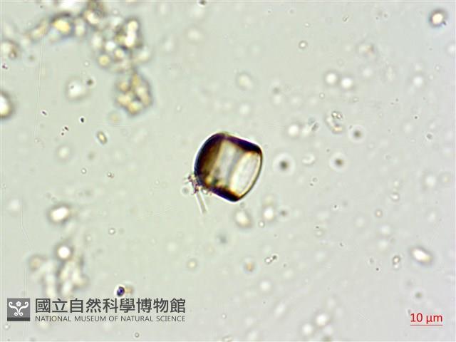 登錄號:A00004662藏品圖，第9張
