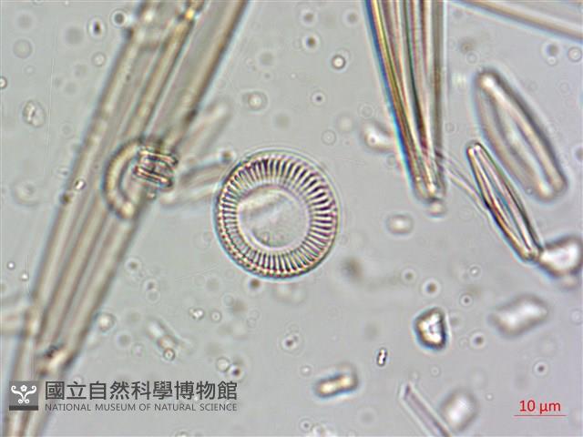 登錄號:A00004638藏品圖，第6張