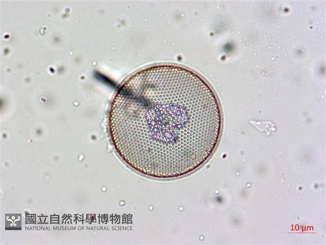 登錄號:A00004658藏品圖，第6張