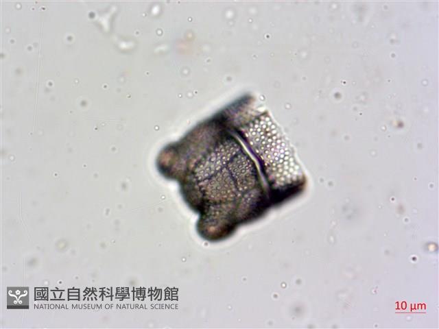 登錄號:A00004478藏品圖，第6張