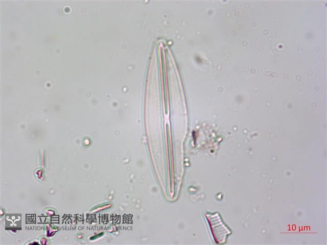登錄號:A00004618藏品圖，第6張