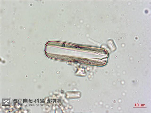 登錄號:A00004548藏品圖，第6張