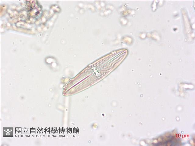 登錄號:A00004508藏品圖，第6張