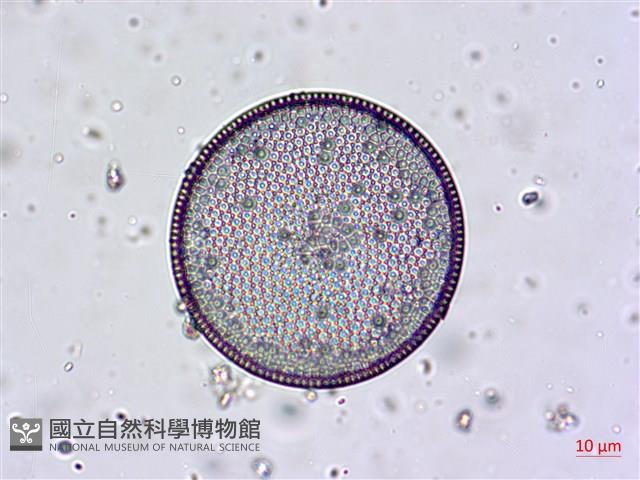 登錄號:A00004659藏品圖，第6張