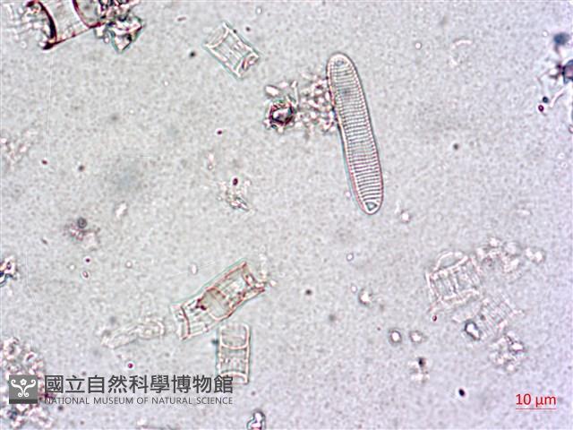 登錄號:A00004649藏品圖，第6張