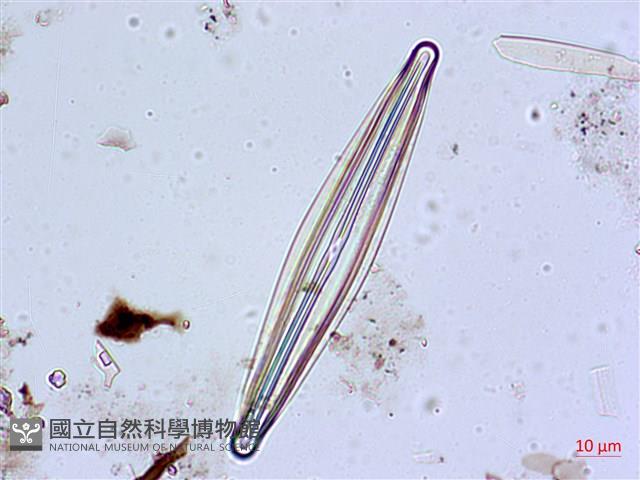 登錄號:A00004626藏品圖，第6張