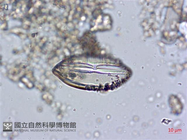 登錄號:A00004576藏品圖，第6張