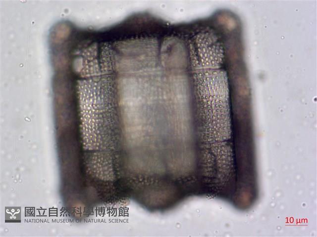登錄號:A00004476藏品圖，第6張