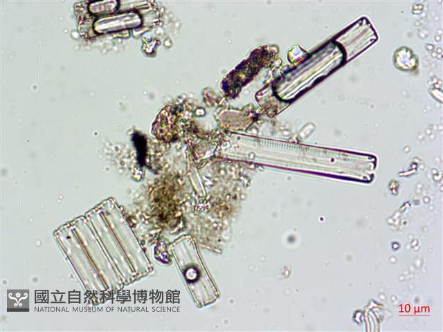 登錄號:A00004616藏品圖，第6張