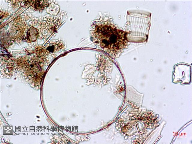 登錄號:A00004646藏品圖，第6張